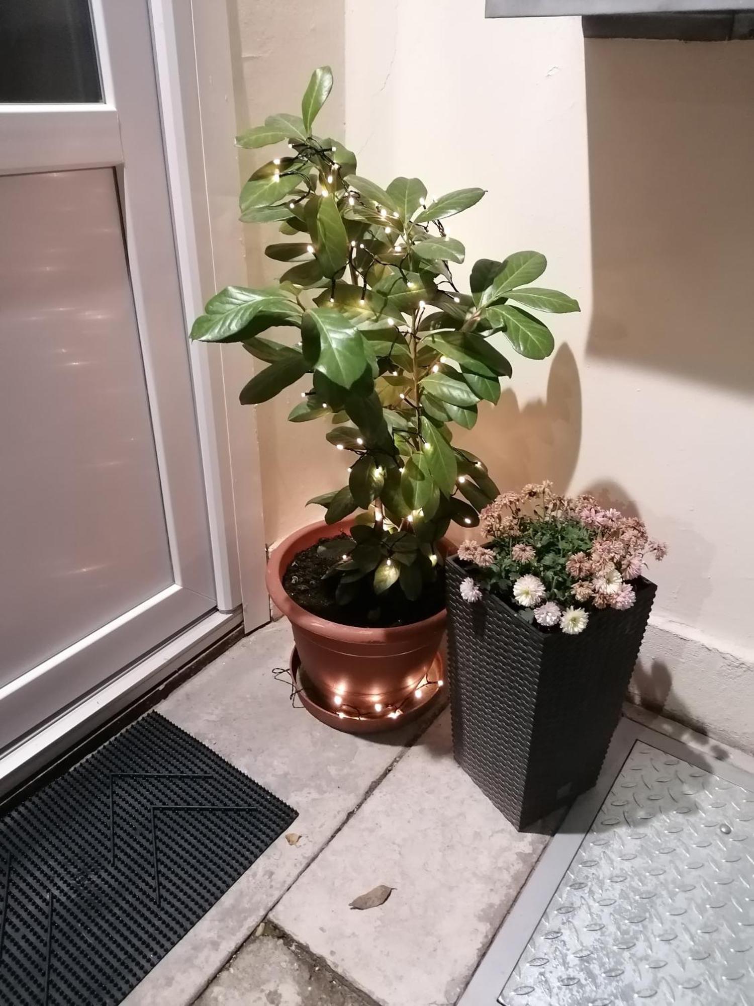 Mohacs Korona Apartman Zewnętrze zdjęcie